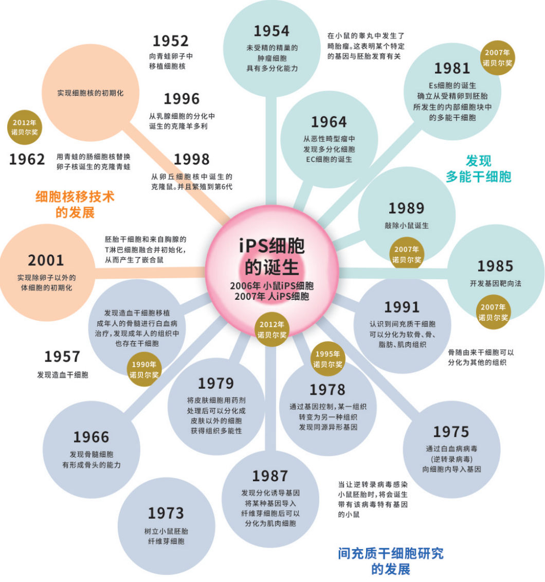 日本干细胞治疗的发展